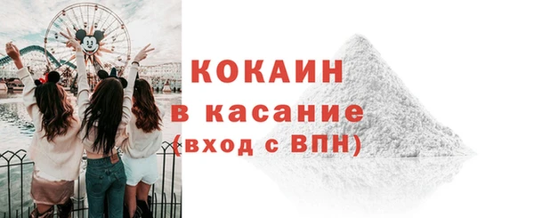соль ск Алзамай