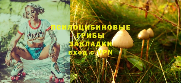 метамфетамин Алексин