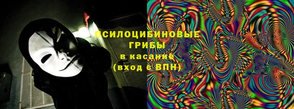 соль ск Алзамай