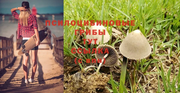 трава Алексеевка