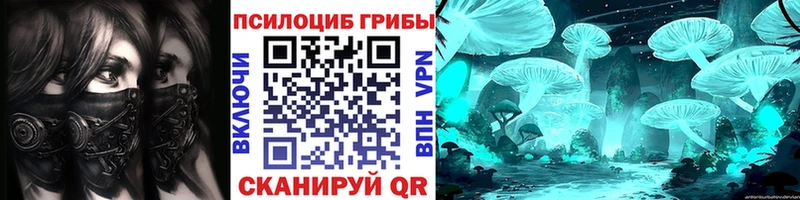 купить наркоту  Грязовец  ссылка на мегу tor  Псилоцибиновые грибы Psilocybine cubensis 