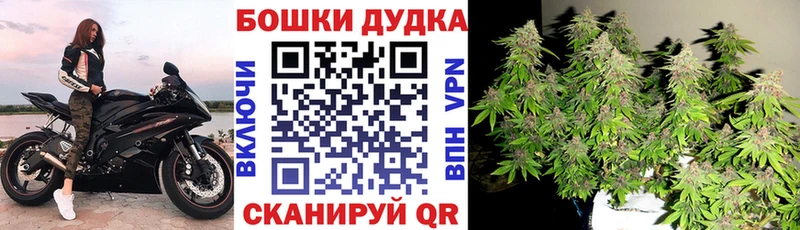 ссылка на мегу сайт  Грязовец  Марихуана индика 